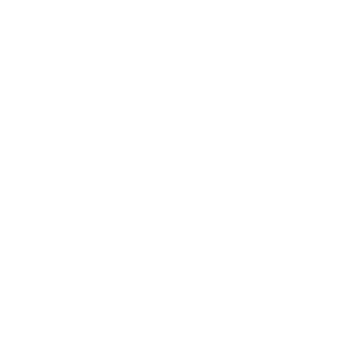 Ludlow Gin